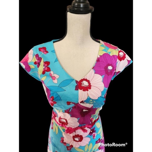 Sangria Womens Dress Size 12 Blue Floral V Neck Short Sleeve Side Zip Lined - Picture 2 of 10